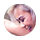 聯系我們